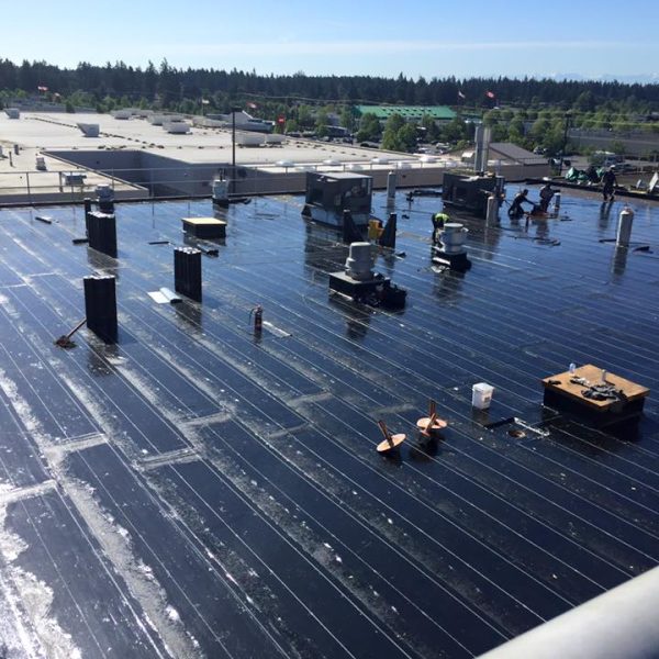 commercial-flat-roof